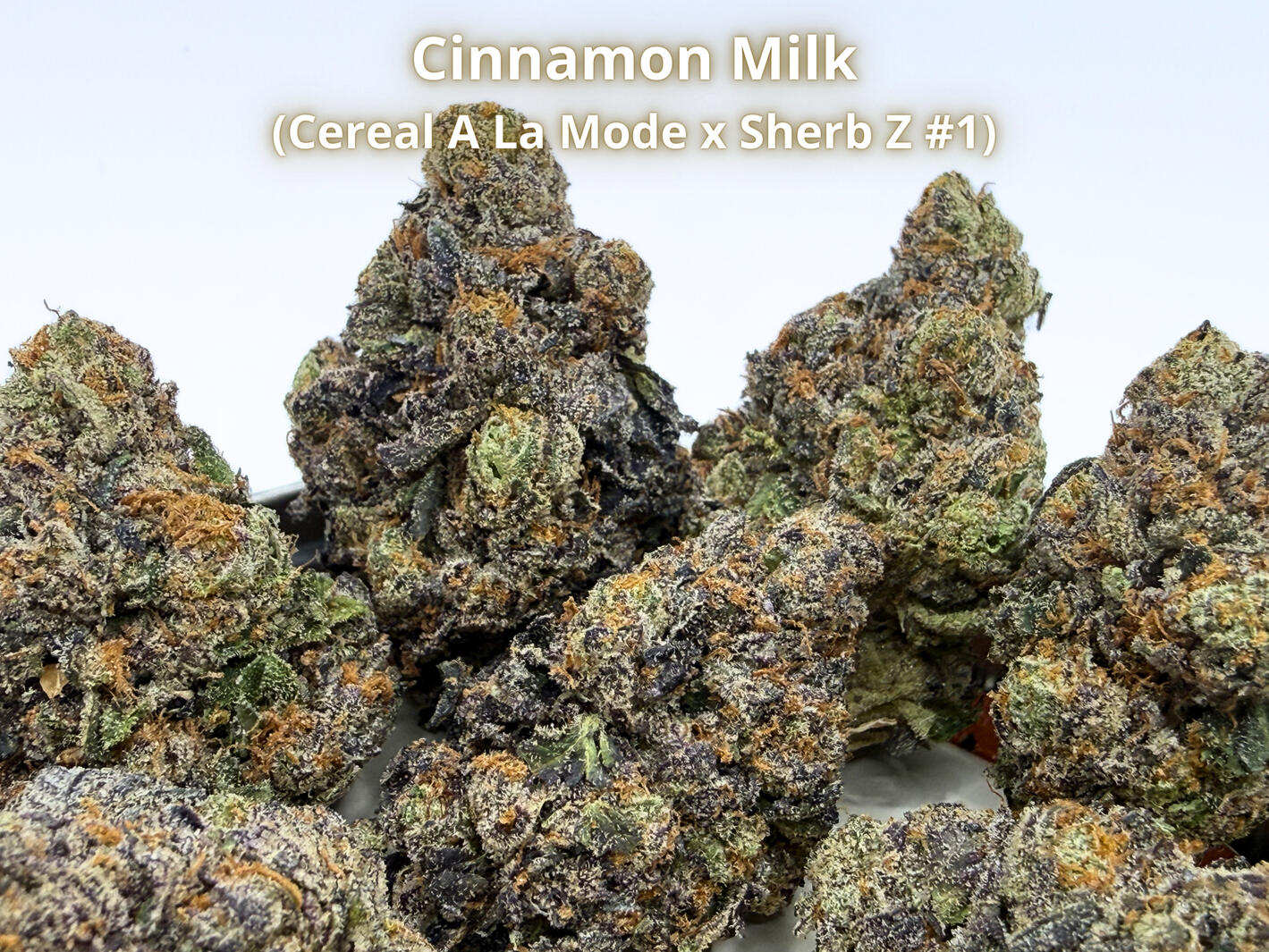 Cinnamon Milk THCa Flower Premium Cinnamon Milk THCa hemp flower