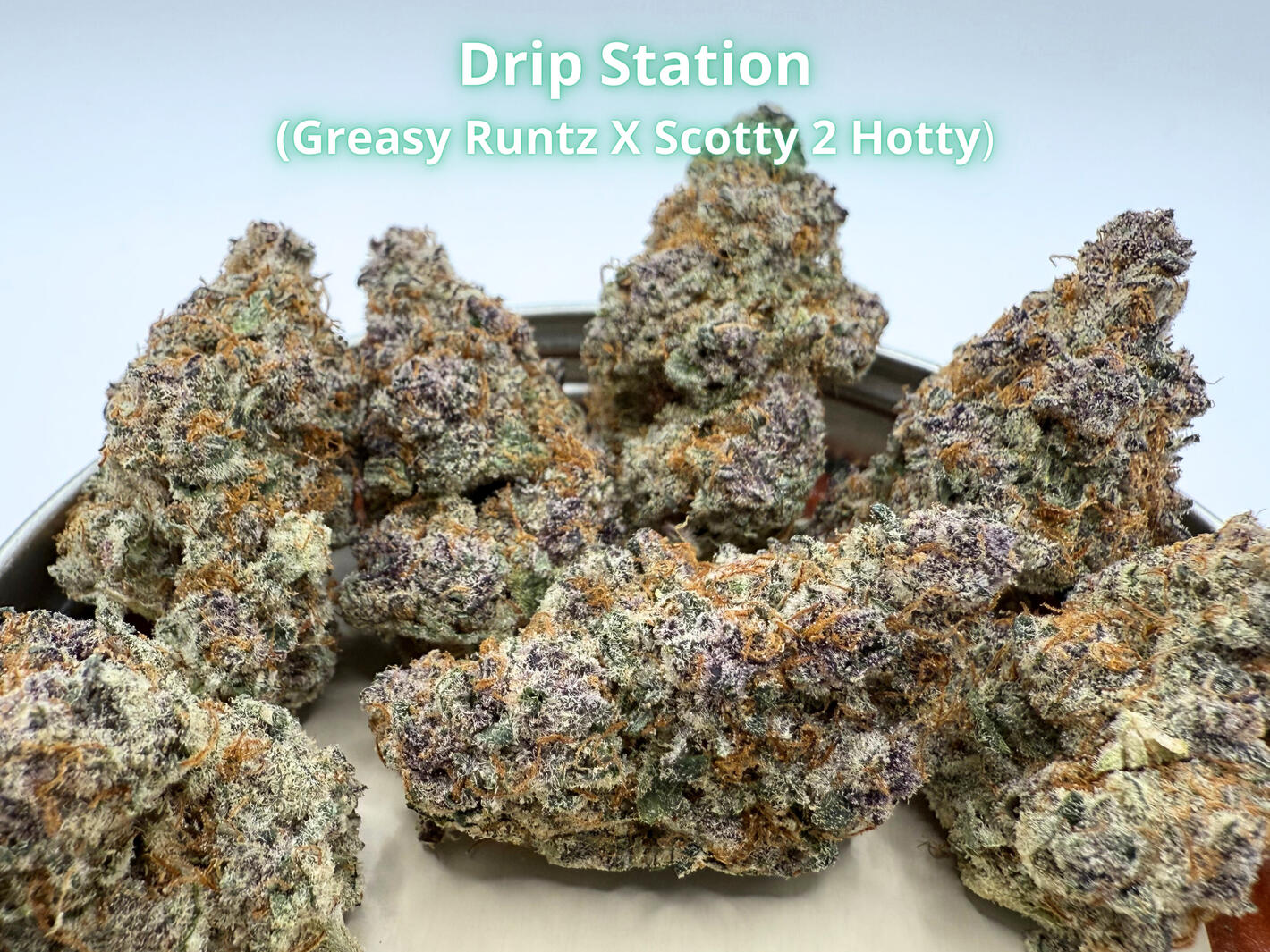 Drip Station THCa Flower Premium Drip Station THCa hemp flower