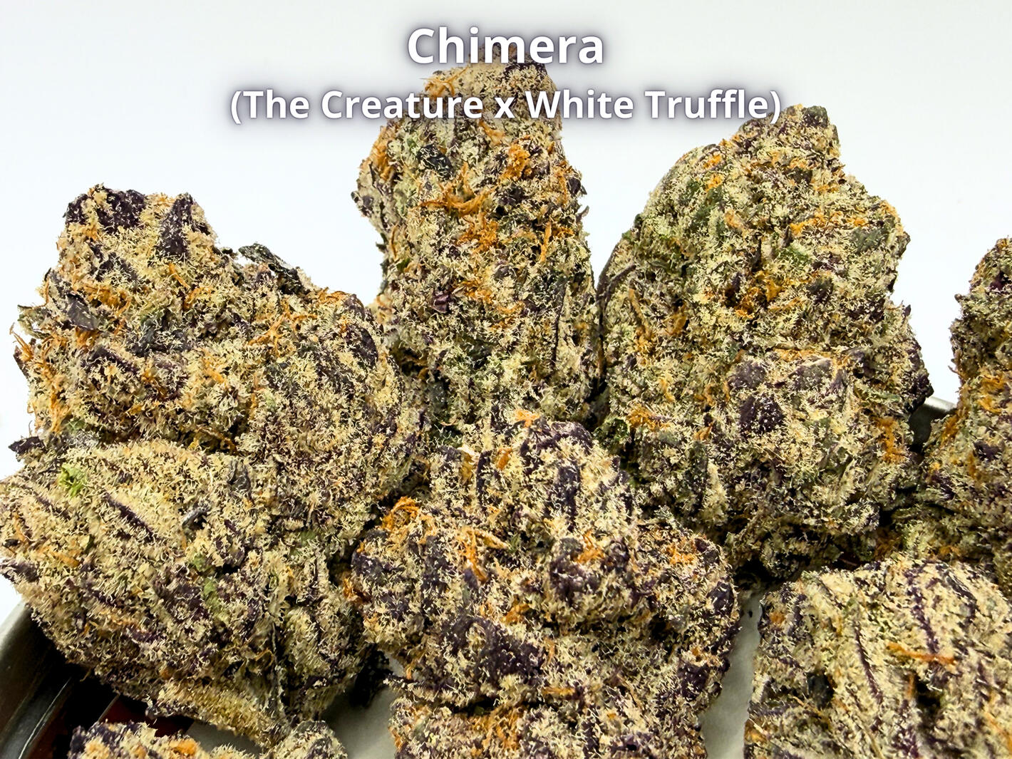 Chimera THCa Flower Premium Chimera THCa hemp flower