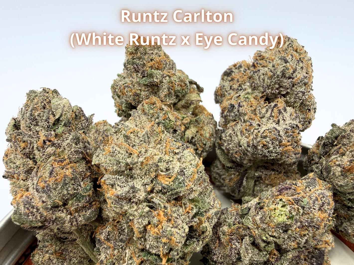 Runtz Carlton THCa Flower Premium Runtz Carlton THCa hemp flower