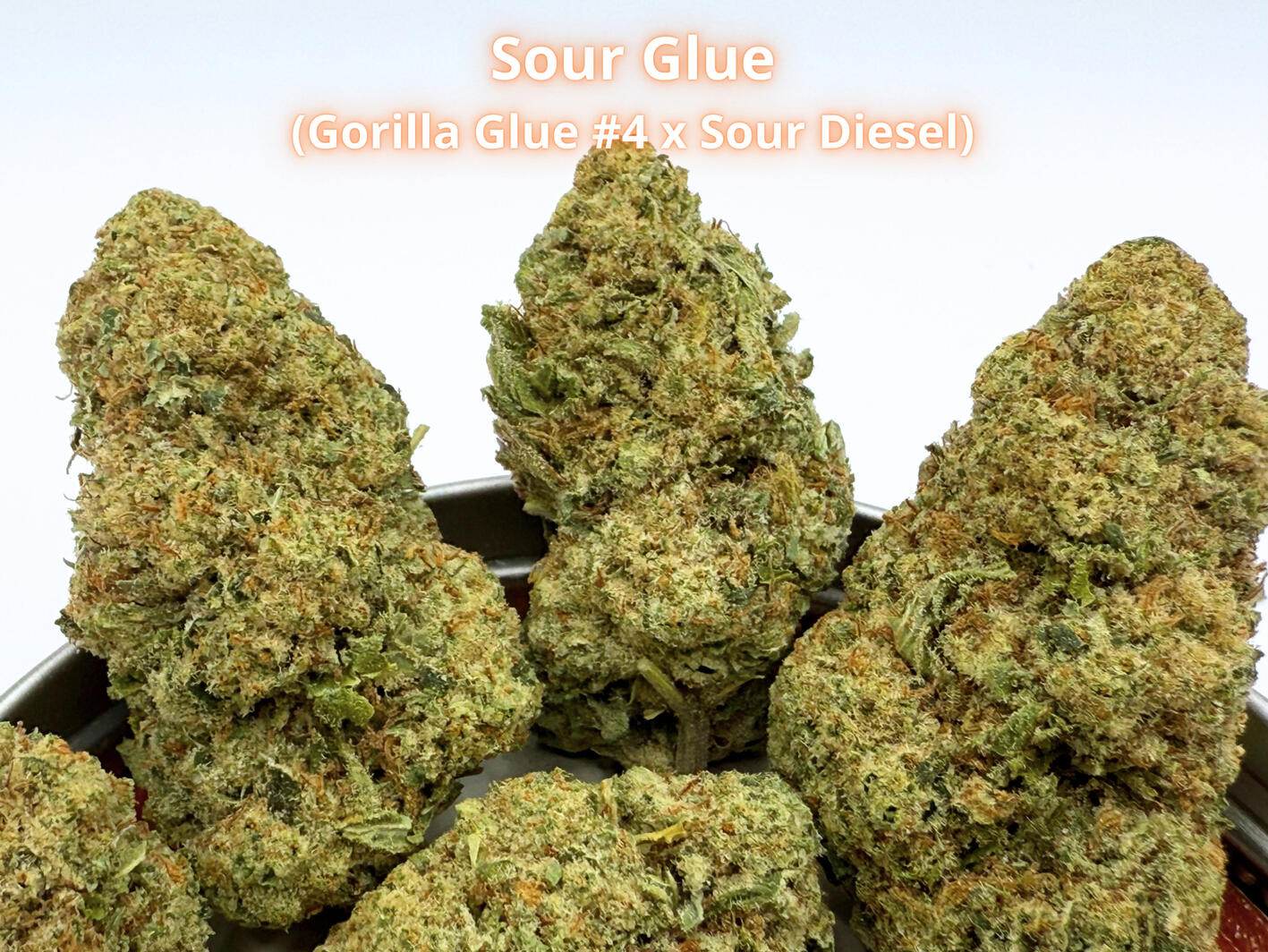Sour Glue THCa Flower Premium Sour Glue THCa hemp flower